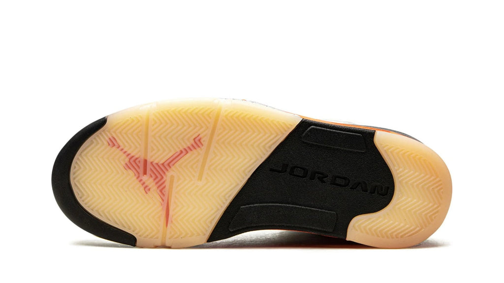 Air Jordan 5 Retro "Shattered Backboard" DC1060-100