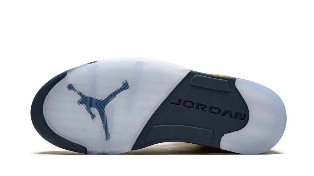 Air Jordan 5 Retro SE "Michigan" CQ9541-704