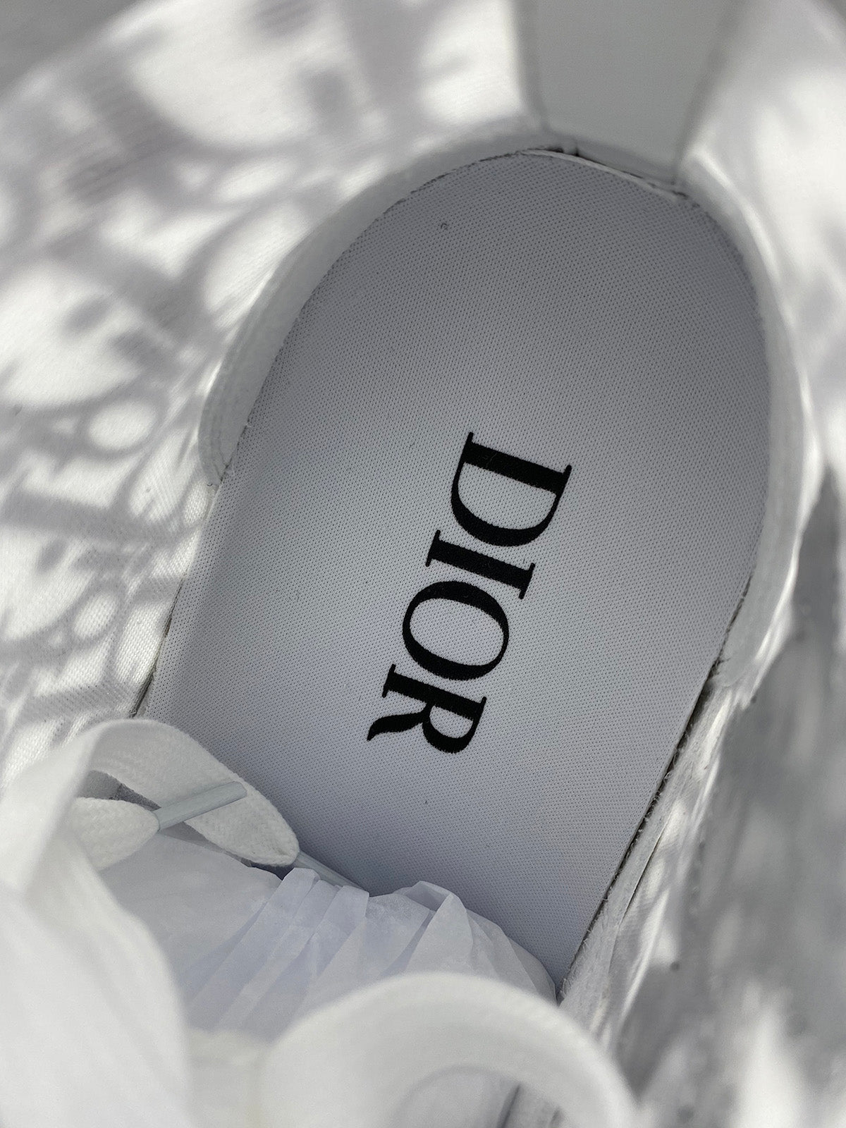 Dior B23 High Oblique - Shawn Bee Embroidery Patch'