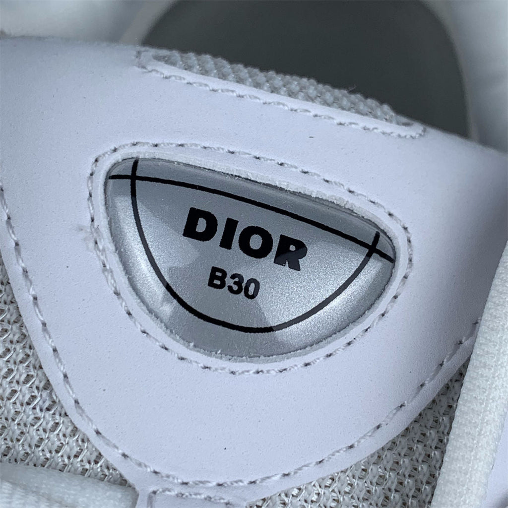 Dior B30 'White Grey'