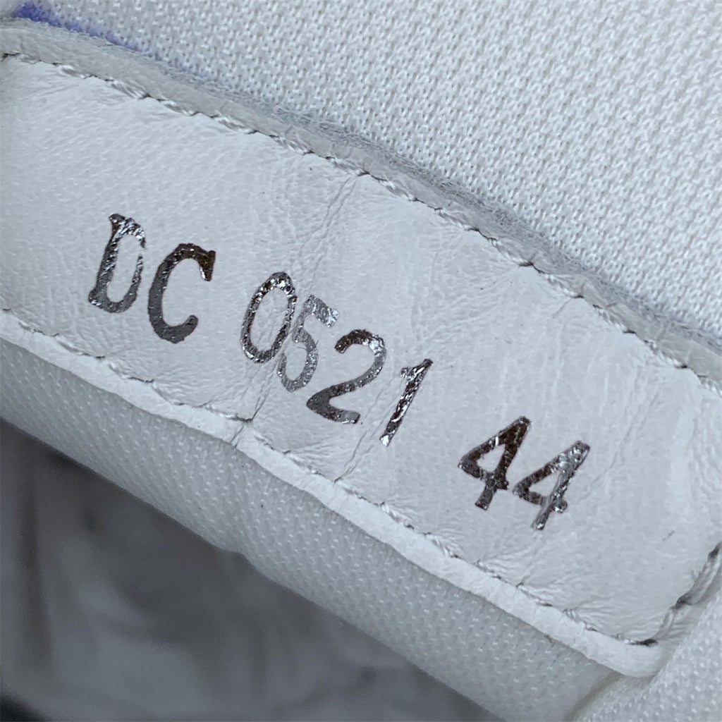 Dior B30 'White Grey'