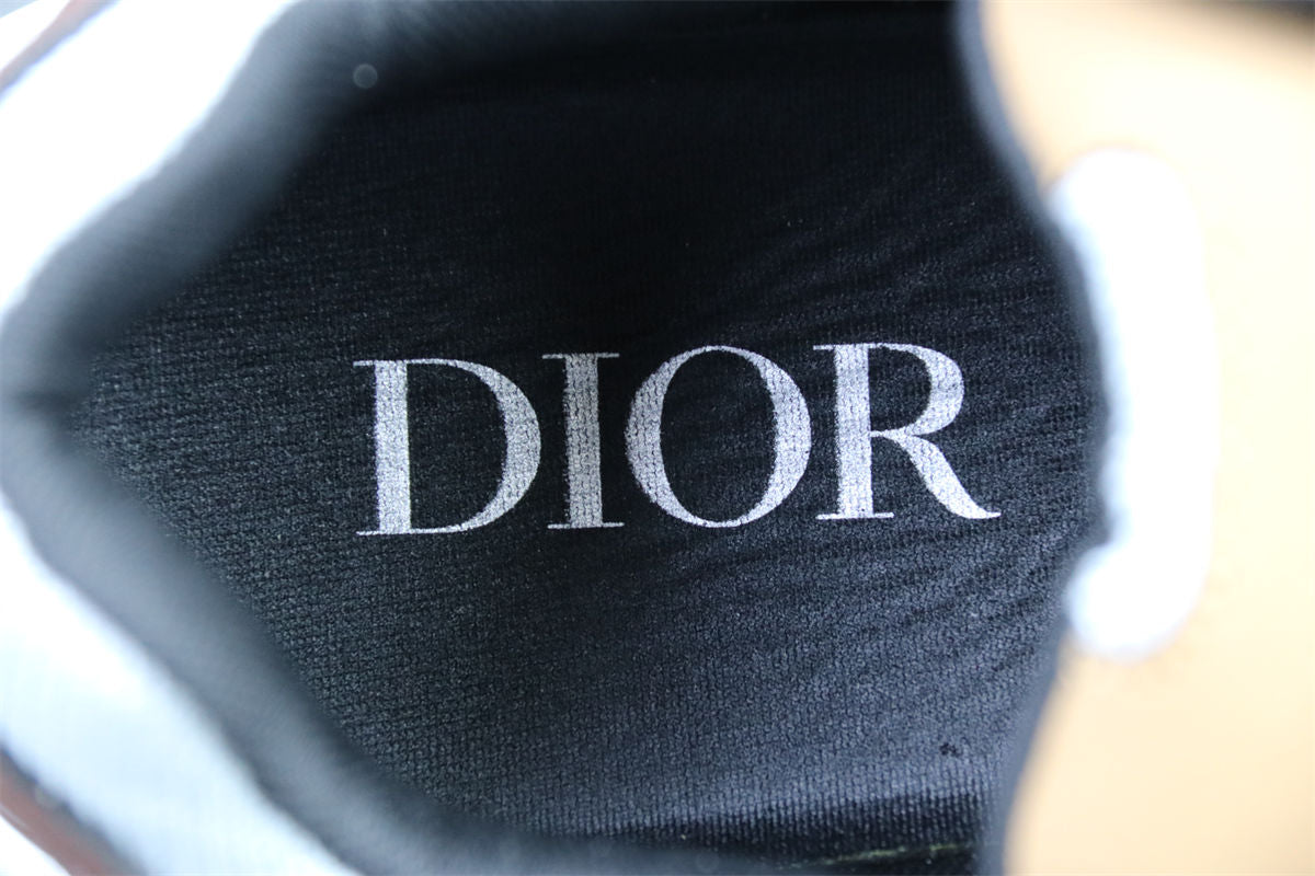 Dior B30 'White Brown Beige'