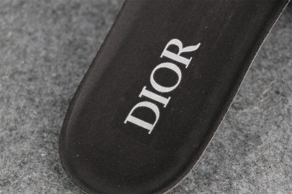Dior B30 'Reflective CD30 Cream Orange'