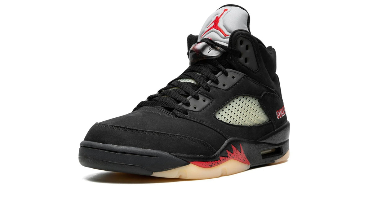 AIR JORDAN 5 WMNS "Gore-Tex" DR0092-001