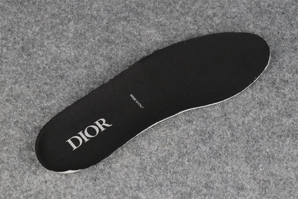 Dior B22 'Blue Silver'