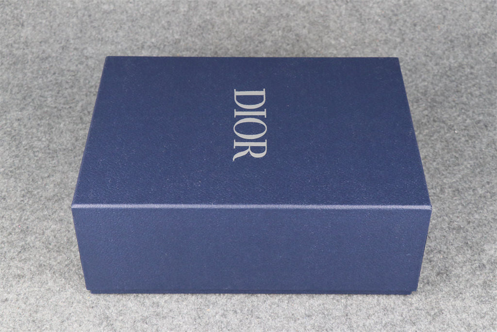 Dior B22 'Blue Silver'