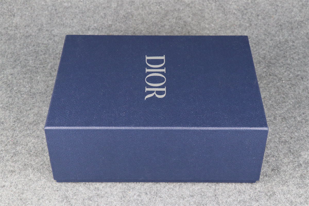 Dior B22 'Blue Silver'